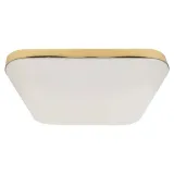 plafon-nemo-gold-17w-led