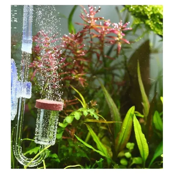 dyfuzor-co2-akrylowy-chihiros-nano-co2-diffuser-m-rodzaj-dyfuzora-inny