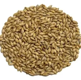 slod-carared-r-40-50-ebc-weyermann-r-1-kg