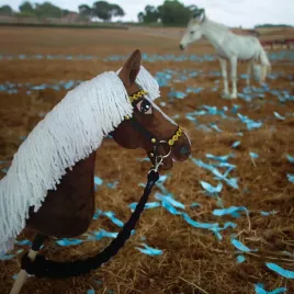 hobby-horse