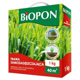 trawa-samozageszczajaca-mieszanka-traw-zdolnosc-samorozrastania-1kg-m2