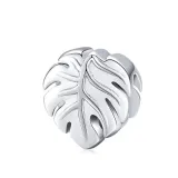 charms-monstera