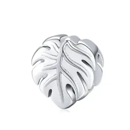 charms-monstera
