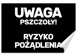 naklejka-uwaga-pszczoly-ryzyko-pozadlenia-30x20-samoprzylepna