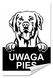 naklejka-uwaga-pies-labrador-30x20-samoprzylepna
