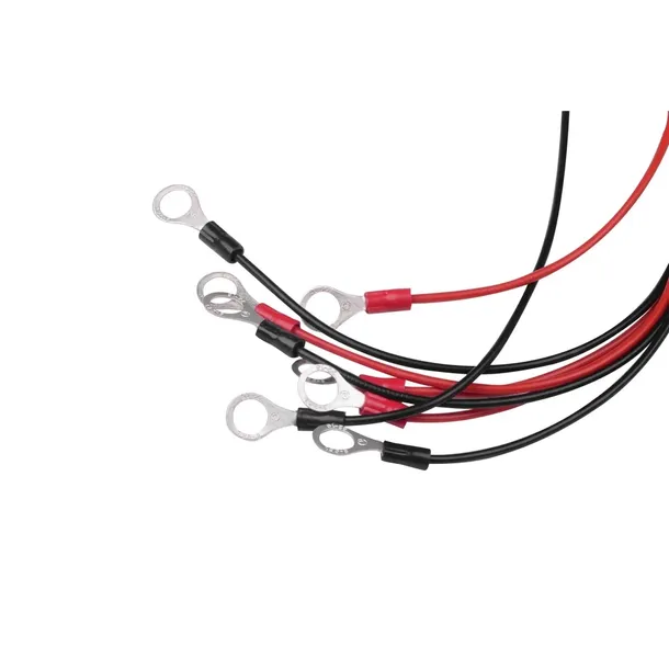 balanser-stabilizator-do-akumulatorow-48v-kod-producenta-6aeq48v001