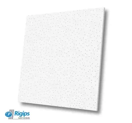 plyta-sufitowa-rigips-casostar-600x600x8-10-szt