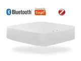 bramka-bluetooth-wifi-tuya