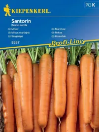 marchew-santorin-pozna-odmiana-odporna-na-choroby-nasiona-kiepenkerl