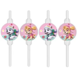 slomki-papierowe-paw-patrol-skye-i-everest-procos-22-cm-4-szt