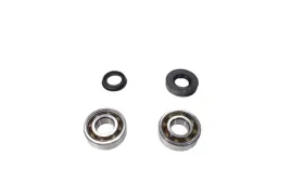zestaw-lozysk-walu-korbowego-minarelli-yamaha-50-simeringi-skf-6204-tn9-c