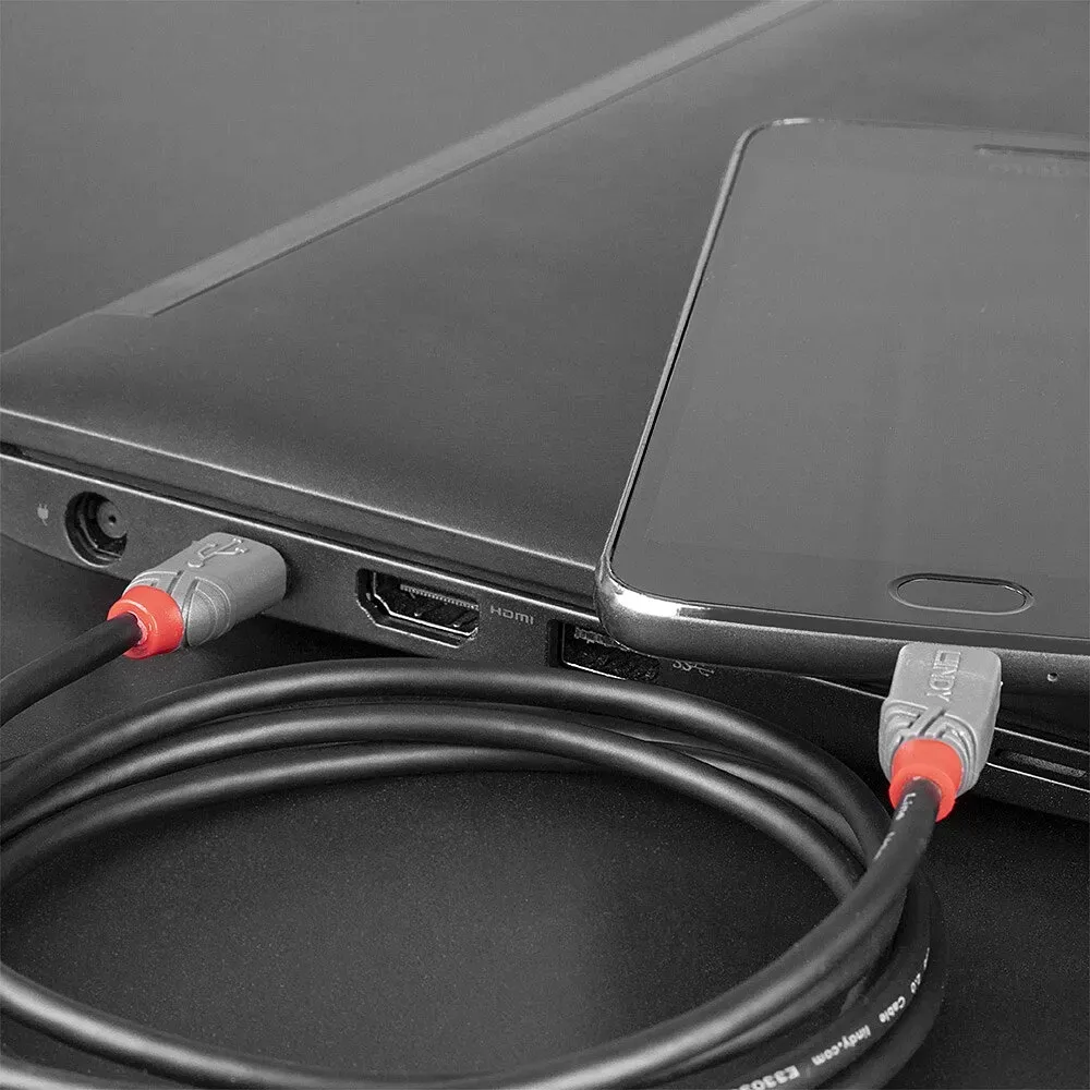 lindy-36892-kabel-usb-2-0-typ-c-micro-b-c-micro-b-anthra-2-metry