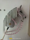 hobby-horse-siwy
