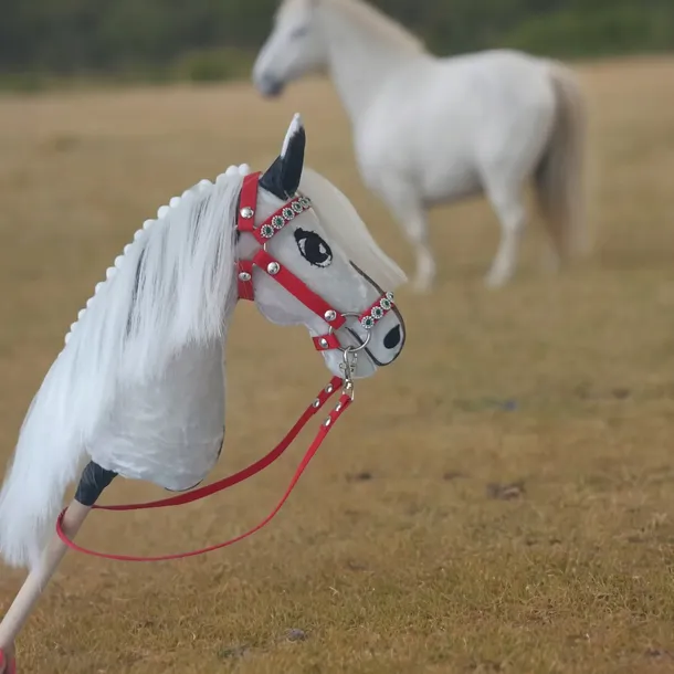 hobby-horse-a5