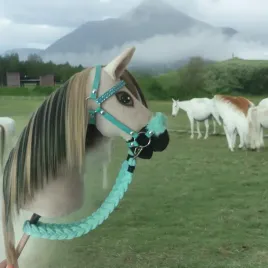 hobby-horse