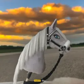 hobby-horse-siwy