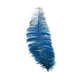 pioro-strusie-niebieskie-1-szt-40cm