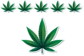 girlanda-foliowa-baner-marihuana-liscie-300-cm-1-szt