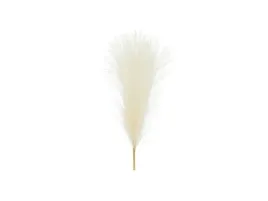 trawa-pampasowa-jasny-kremowy-10-x-45-cm-slub-wesele-boho-komunia