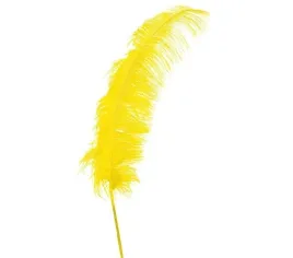 pioro-strusia-strus-zolte-zolty-63-cm-1-szt
