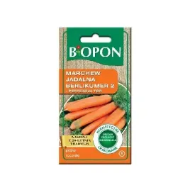 bopon-4g-nasiona-marchew-berlikumer-2-537