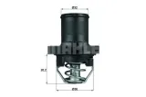 termostat-citroen-16-00-mahle-ti4789-mahle-producent-czesci-mahle