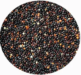 quinoa-komosa-ryzowa-czarna1-kg