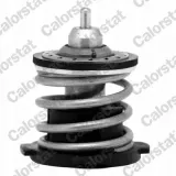 termostat-vw-87c-audi-14tsi-wersja-europejska
