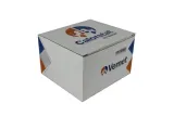 termostat-renault-83c-16-16v-05-stan-nowy-jakosc-czesci-zgodnie-z-gvo-q-oryginal-z-logo-producenta-czesci-oem-oes
