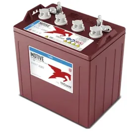 akumulator-trojan-t-875-dc-8v-170ah-elpt-261-180-283-trojan