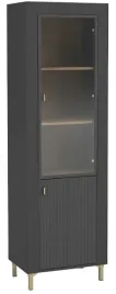 nowoczesna-witryna-60-cm-czarna-2d-rosa-dl-3-kolory