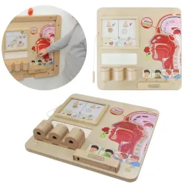 masterkidz-tablica-edukacyjna-zmysl-wechu-montessori