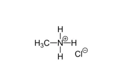 chlorowodorek-metyloaminy-andgt98percent-1000g-1kg-500g