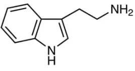 baza-wolna-od-tryptaminy-2-1h-indol-3-ylo-etan-1-amina-cas-61-54-1-andgt