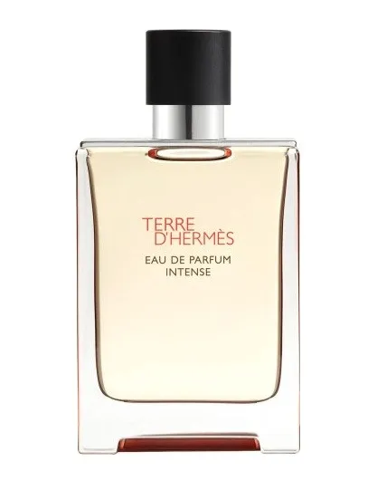 tester-hermes-terre-dhermes-edp-intense-100ml