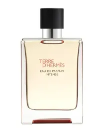 tester-hermes-terre-dhermes-edp-intense-100ml