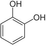 pirokatechina-katechol-andgt99percent-1000g