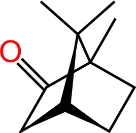 camphor-terpene-camphorum-camphor-1000g