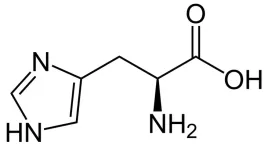 l-histydyna-pure-250g