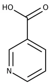 niacyna-w-proszku