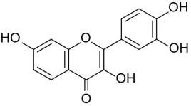 fisetin-pure-powder-flavonoid-andgt99percent-100g