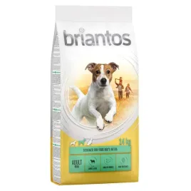 briantos-adult-mini-14kg-jagniecinaandryz-dorosle-psy-malych-ras-lekkostrawna