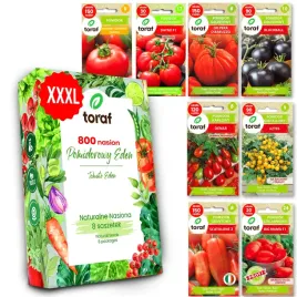 nasiona-warzyw-pomidor-malinowy-gruntowy-koktajlowy-zestaw-800-nasion-xxxl