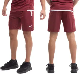 spodenki-meskie-puma-teamliga-krotkie-sportowe-treningowe-szorty-roz-xl