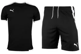 stroj-sportowy-puma-teamliga-komplet-meski-treningowy-koszulka-spodenki-m