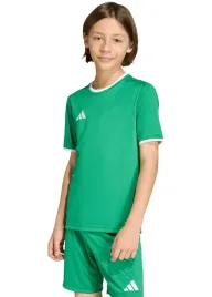 koszulka-dziecieca-adidas-entrada-26-pilkarska-na-wf-mlodziezowa-roz-116
