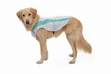 ruffwear-kamizelka-chlodzaca-sage-green-s-stan-nowy-rodzaj-kamizelka