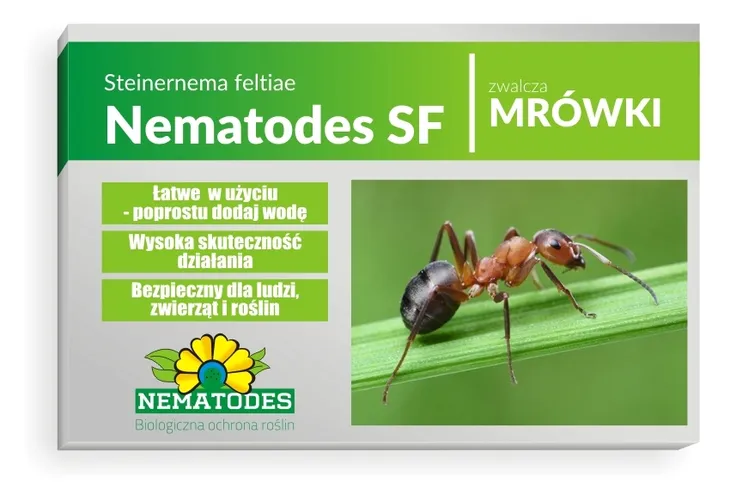 Nematodes SF 50mln Nicienie na Mrówki 100 Mrowisk Gniazda Robotnice Królowa
