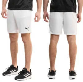 spodenki-meskie-puma-krotkie-sportowe-treningowe-lato-drycell-team-goal-s