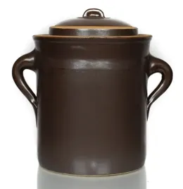 garnek-hermetyczny-8l-kamionka-do-kiszenia-ogorkow